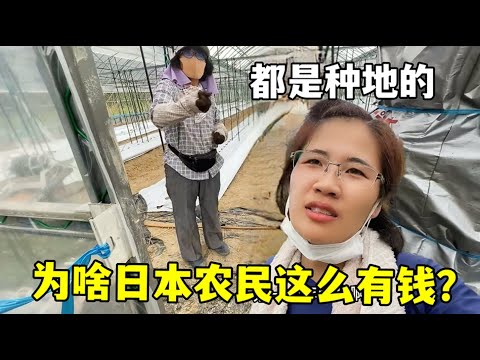 皇家马德里,果断拒绝范,迪克转会,广州赛马,赛程安排,赛果查询,马匹资料,赛事资讯