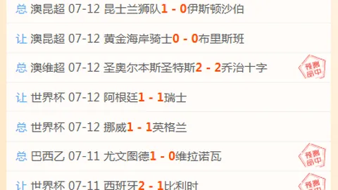 广州赛马 113217 022